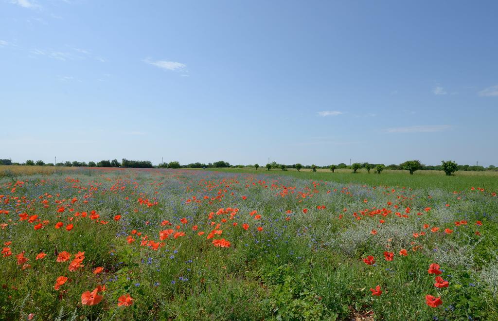 Agriturismo Residence Caporale Remanzacco Luaran gambar